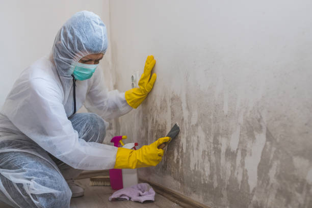 Best Air Quality Testing for Mold Spores  in Amargosa Valley, NV