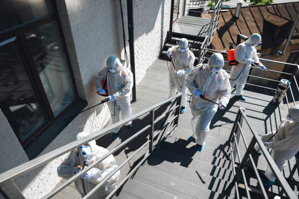 Biohazard Mold Removal in Amargosa Valley, NV
