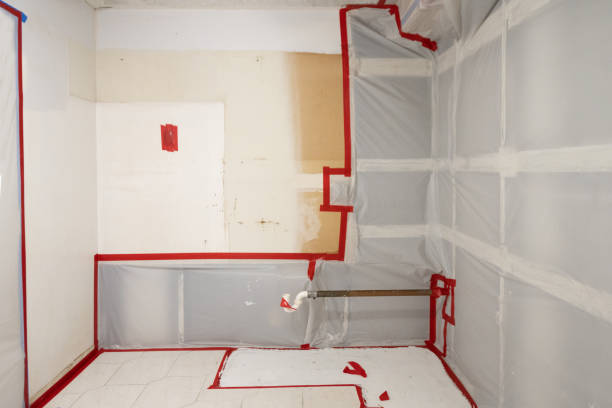 Best Mold Documentation for Insurance Claims  in Amargosa Valley, NV