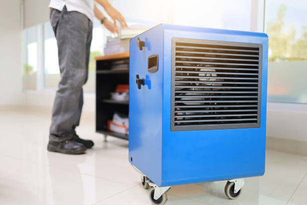Best Mold Damage Restoration  in Amargosa Valley, NV