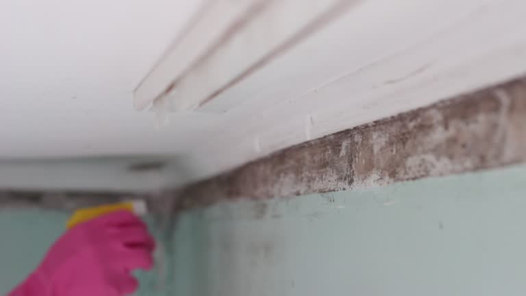Asbestos and Lead Testing During Mold Inspection in Amargosa Valley, NV